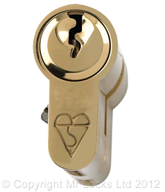 Llantrisant Locksmith BS1303 Euro Cylinder